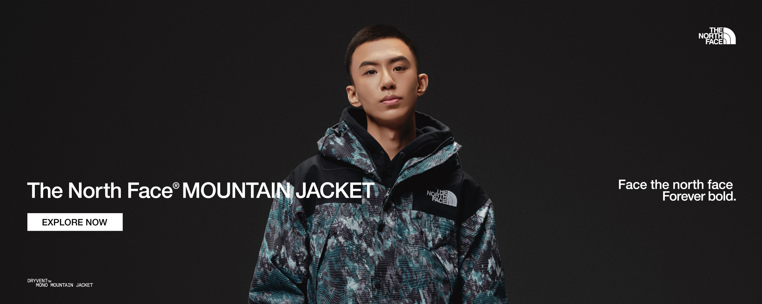 The North Face -The North Face 1