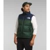 The North Face Men's 1996 Retro Nuptse Vest
