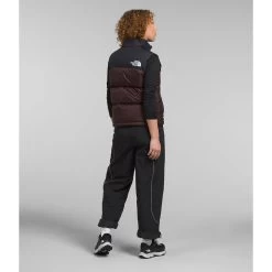 The North Face Women's 1996 Retro Nuptse Vest -The North Face NF0A3XEPLOS 3