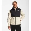 The North Face Men's Printed Novelty Millerton Jacket