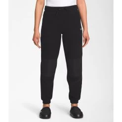 The North Face Women's Alpine Polartec® 200 Fleece Pants
