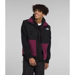 The North Face Men's Denali Fleece Vest -The North Face NF0A7UR4KK9 1