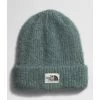 The North Face Salty Bae Lined Beanie