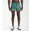 The North Face Men's Printed Flight Series Stridelight Shorts