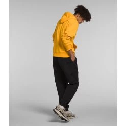 The North Face Men's Jumbo Half Dome Hoodie -The North Face NF0A811MZU3 3