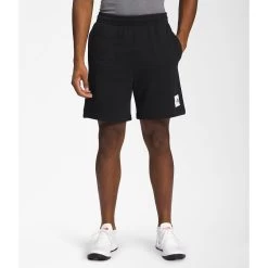 The North Face Men's Box NSE Shorts