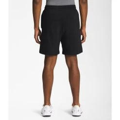 The North Face Men's Box NSE Shorts -The North Face NF0A811YKY4 R 3