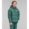 The North Face Boys' Reversible North Down Hooded Jacket