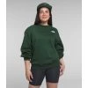 The North Face Women's Evolution Oversized Crew
